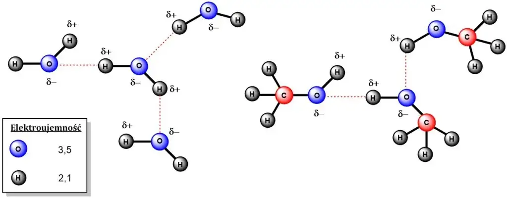 Czy alkohole reagują z zasadami? Odkryj zaskakujące fakty chemiczne