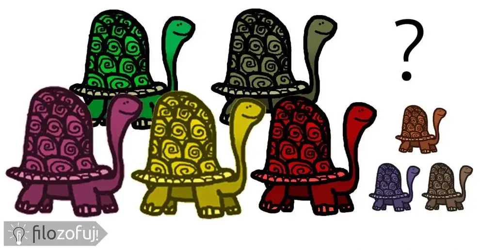 Zagadka o żółwiu: zmierz się z tą logiczną łamigłówką i sprawdź siebie
