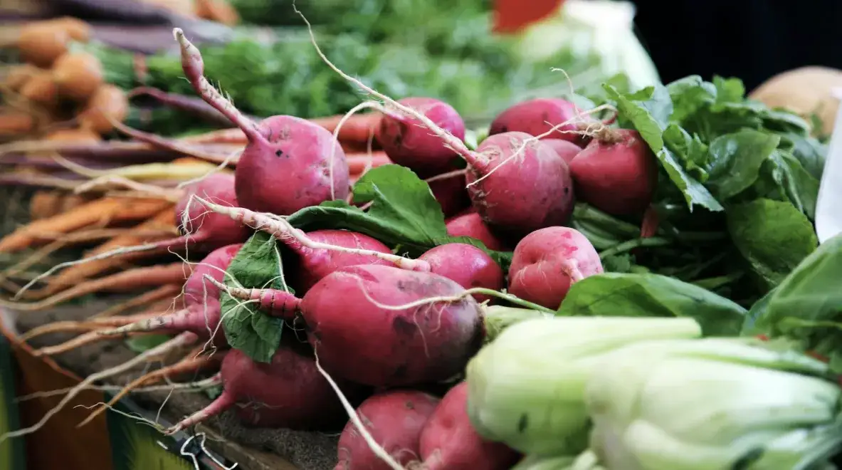 Porady kulinarne dotyczące przechowywania świeżych produktów w sezonie wiosennym