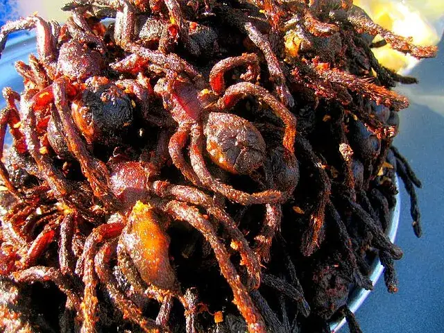 Czy odważysz się skosztować smażonego pająka w Kambodży? Szoki