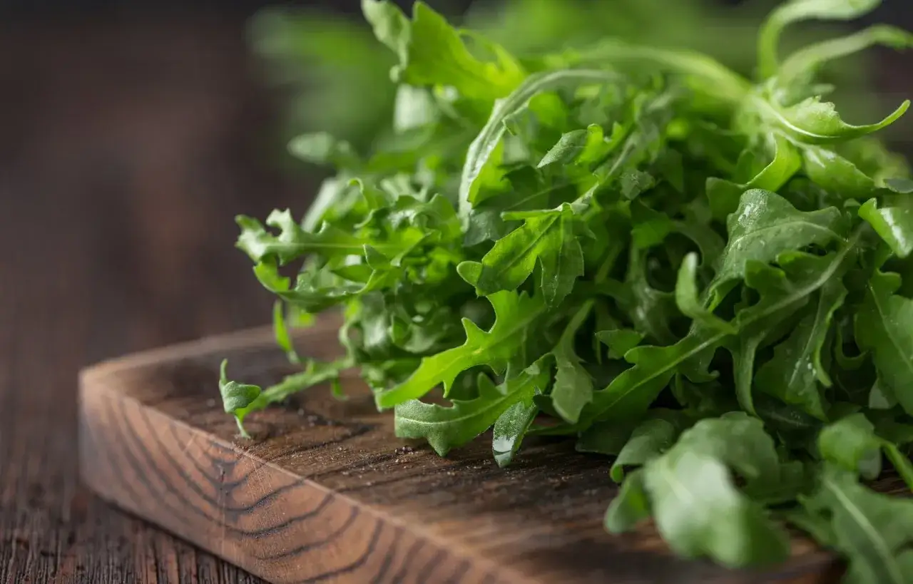 Czy dieta wegetariańska odchudza? Fakty, mity i skuteczne wskazówki