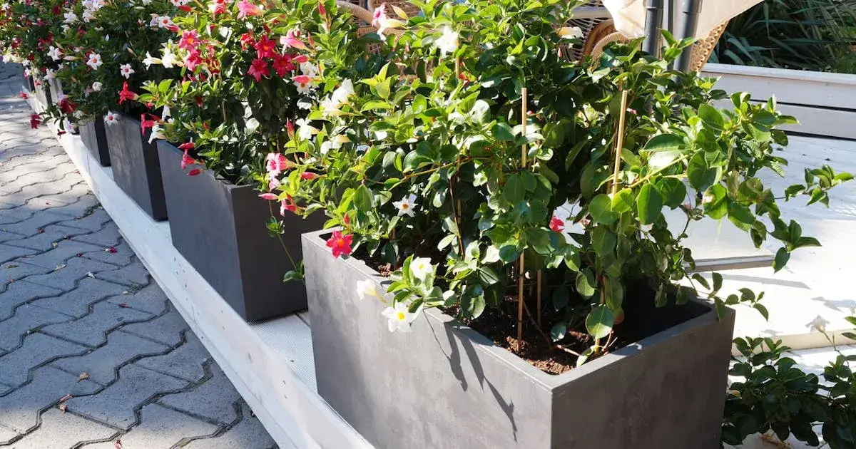 Jak układać gazony ogrodowe, aby uniknąć błędów i cieszyć się pięknem