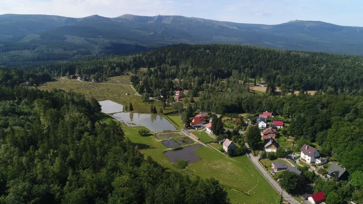 Najciekawsze atrakcje w Michałowicach, które musisz zobaczyć