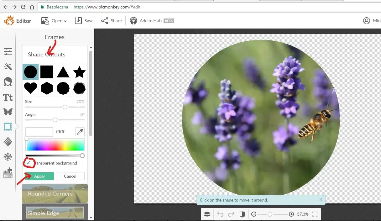 Jak zrobić okrągłe zdjęcie w 3 prostych krokach - poradnik dla początkujących