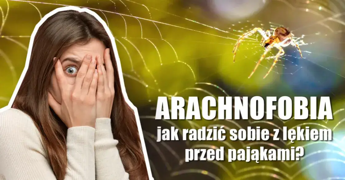 Czym jest arachnofobia? Lęk przed pająkami – objawy, przyczyny i leczenie