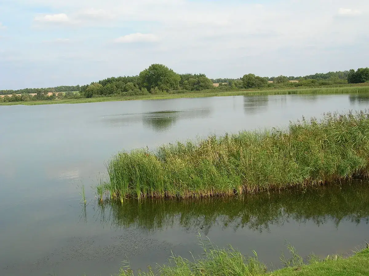 Jezioro Biskupińskie: fascynująca historia polskich Pompejów sprzed 2700 lat