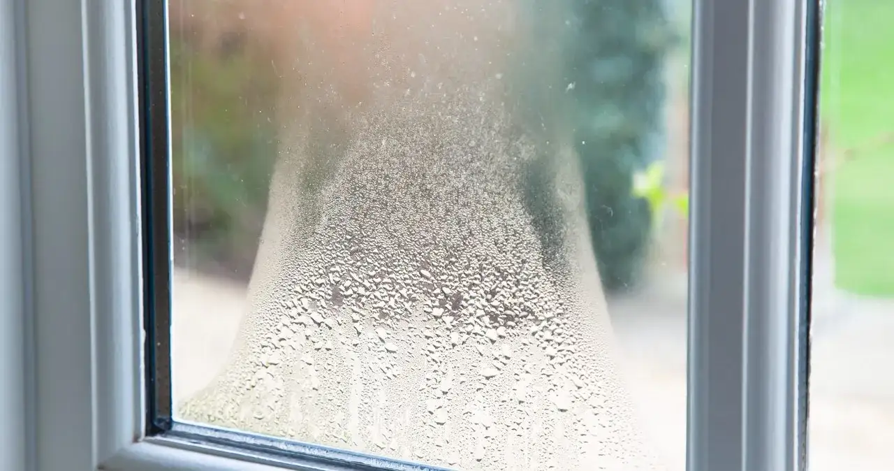 Dlaczego okna są mokre po nocy i jak temu zapobiec?