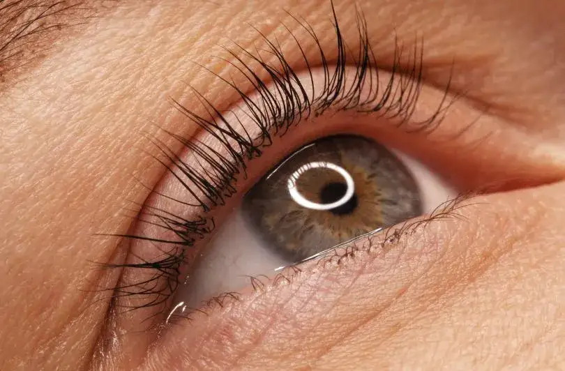 Czym jest lifting rzęs? Efekty, przebieg i pielęgnacja po zabiegu