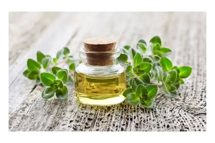 Jak stosować olejek z oregano, aby uniknąć podrażnień i czerpać korzyści