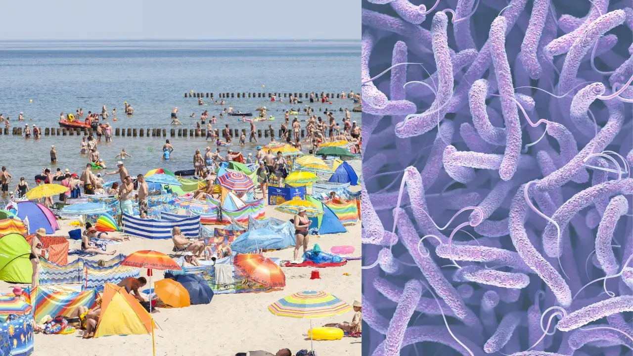 Gdzie czai się ryzyko mięsożernych bakterii w Bałtyku i jak się chronić