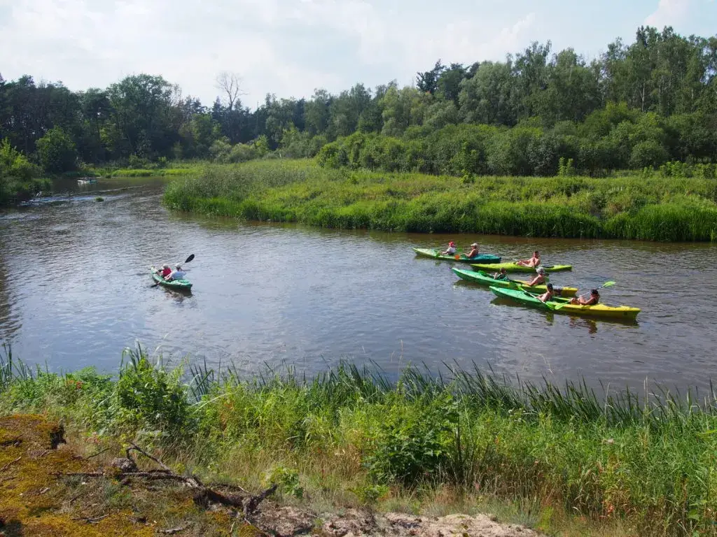 Spływ kajakowy okolice Krakowa – najlepsze trasy, porady i bezpieczeństwo