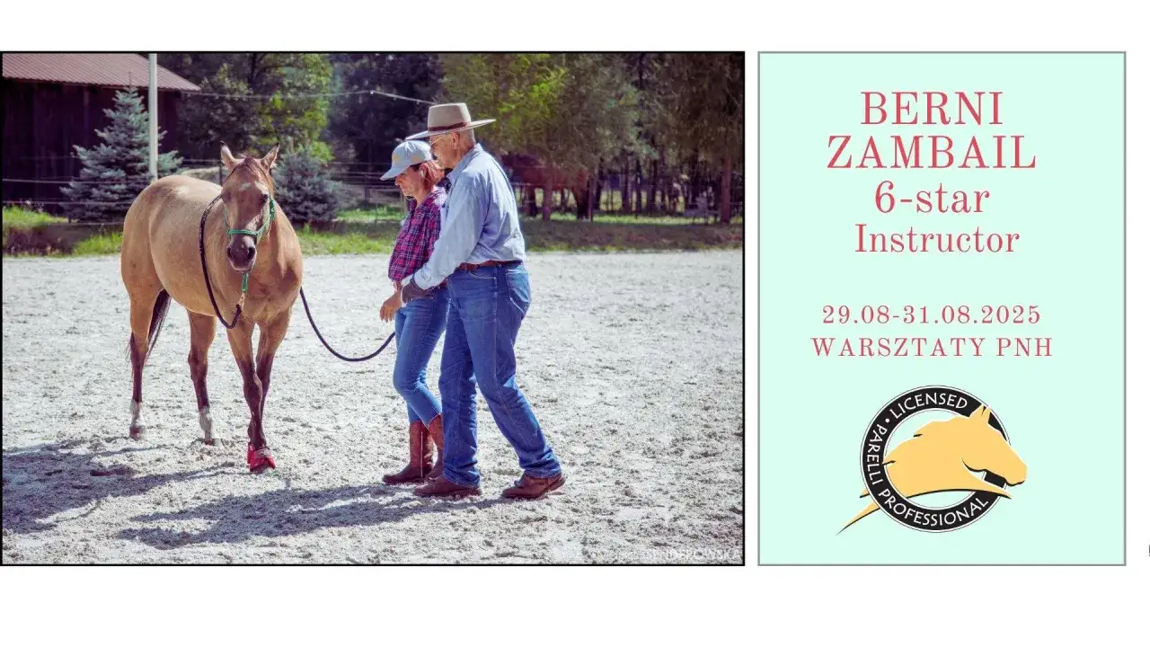 Najlepsze kursy jeździectwa naturalnego - zbuduj zaufanie z koniem