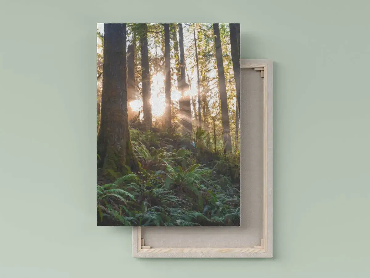 Jak zrobić obraz ze zdjęcia w domowym zaciszu: 8 prostych kroków