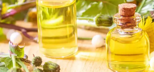 Jak zażywać olej z ostropestu, aby uniknąć błędów i cieszyć się zdrowiem