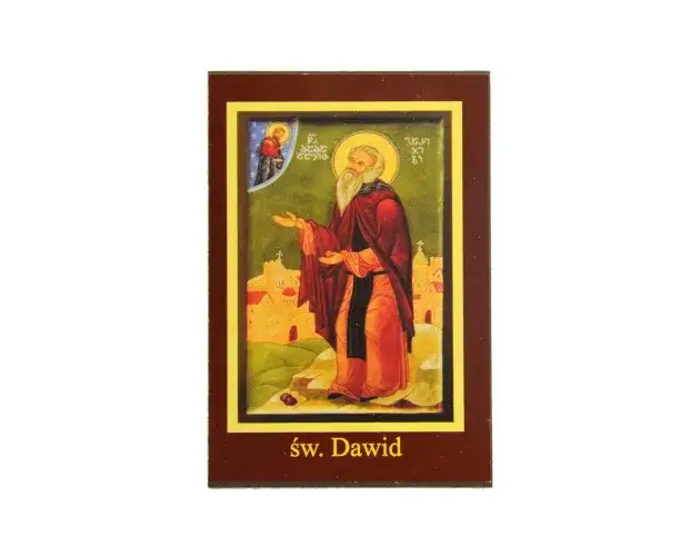 Święty Dawid - poznaj wszystkich patronatów wielkiego świętego z Walii