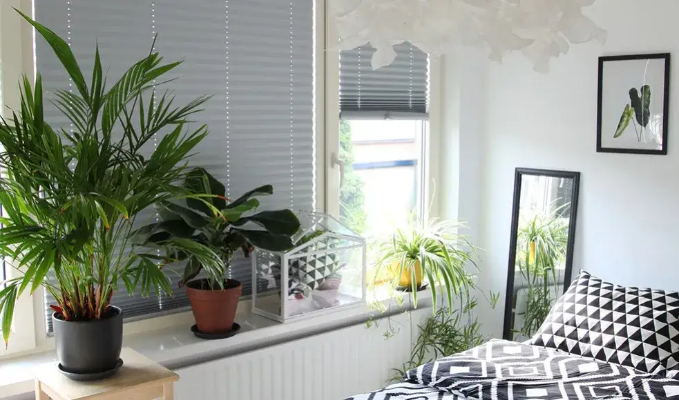 Jak skutecznie zasłonić okna przed słońcem i obniżyć temperaturę