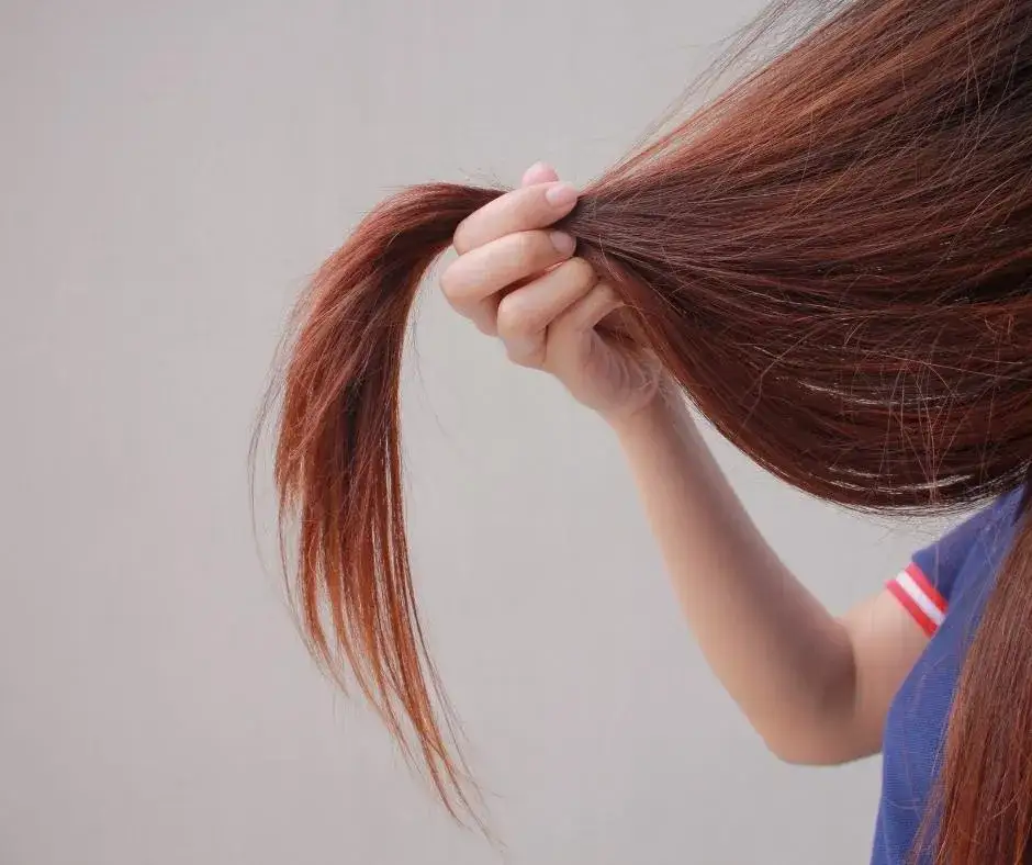 Wszystko co musisz wiedzieć o włosach - najlepsze porady blogów włosowych