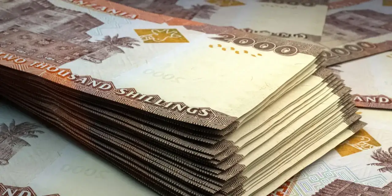 Jaka waluta w Zanzibarze: praktyczny poradnik dla turystów 2025