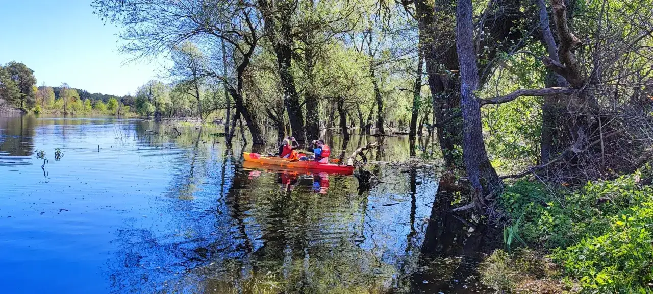 Spływ kajakowy Bugiem: trasy, porady i najczęstsze błędy początkujących
