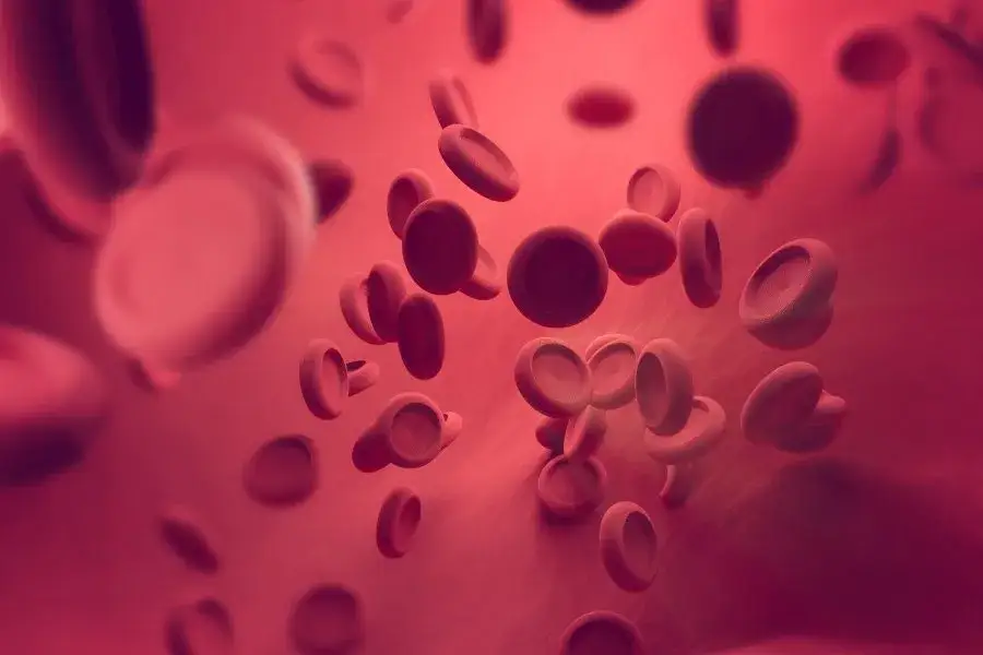 Przyczyny i znaczenie podwyższonego poziomu PDW w morfologii krwi