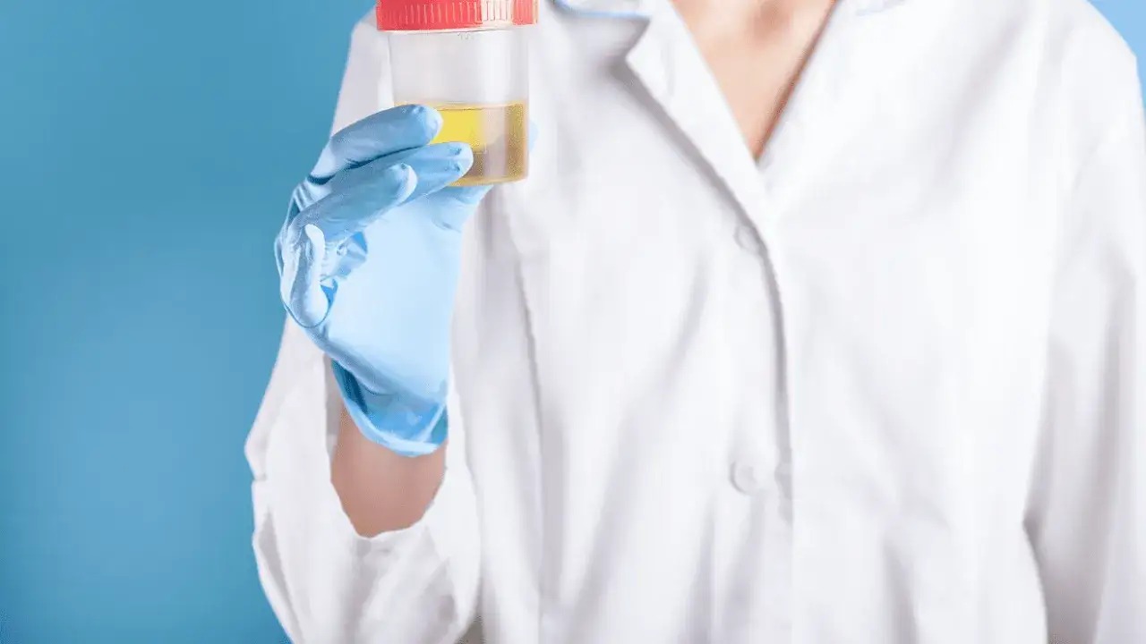 Jak pobrać mocz od suki i uniknąć problemów zdrowotnych psa