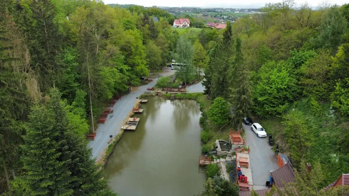 Najlepsze smażalnie pstrąga w Dolnośląskiem – gdzie zjeść smacznie i tanio