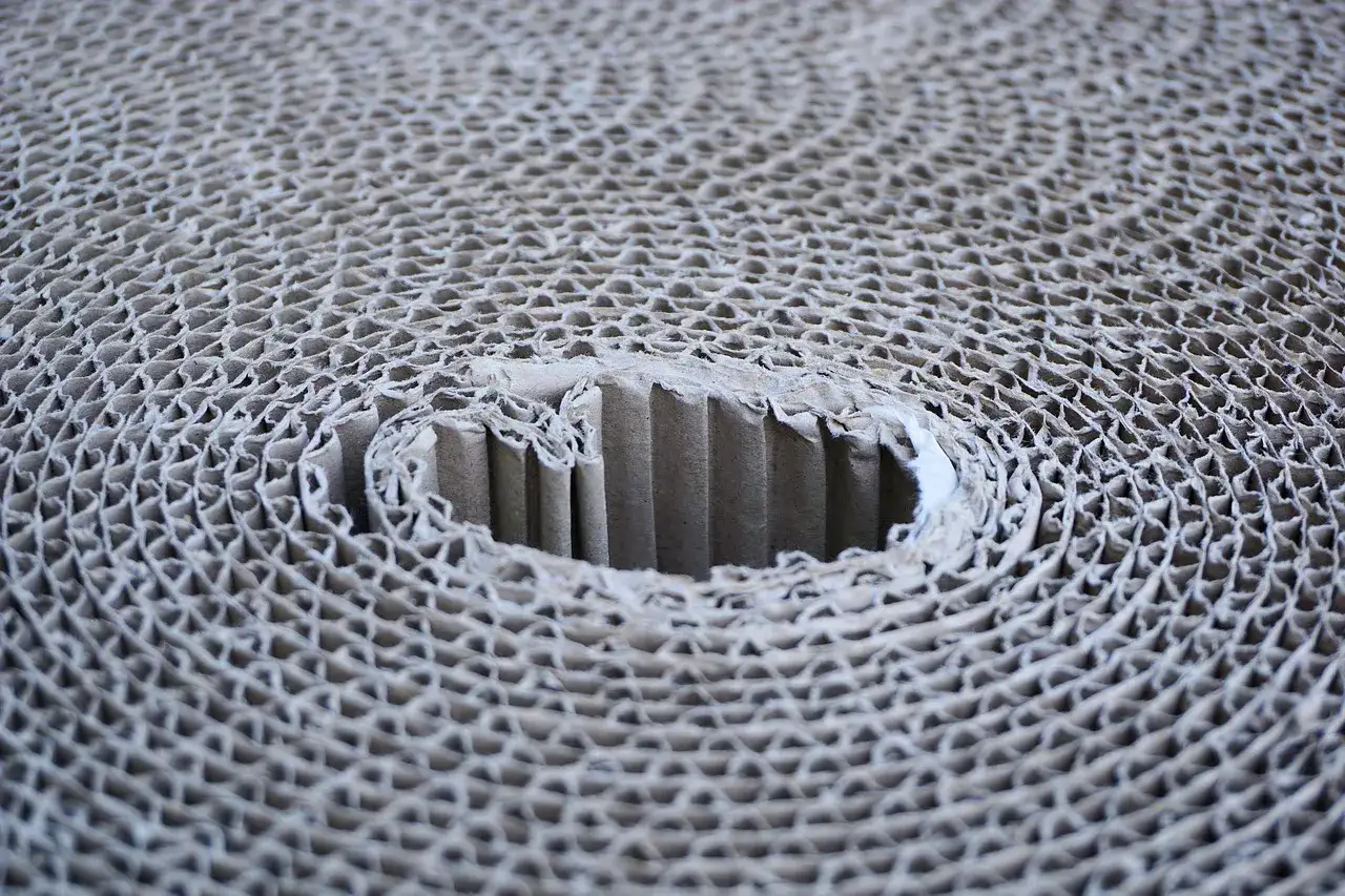 Nowoczesne opakowania termoformowane – precyzja i funkcjonalność w każdym detalu