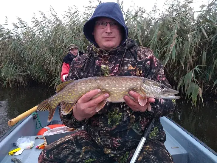 Jezioro Drużno wędkowanie: Odkryj zasady i najlepsze techniki