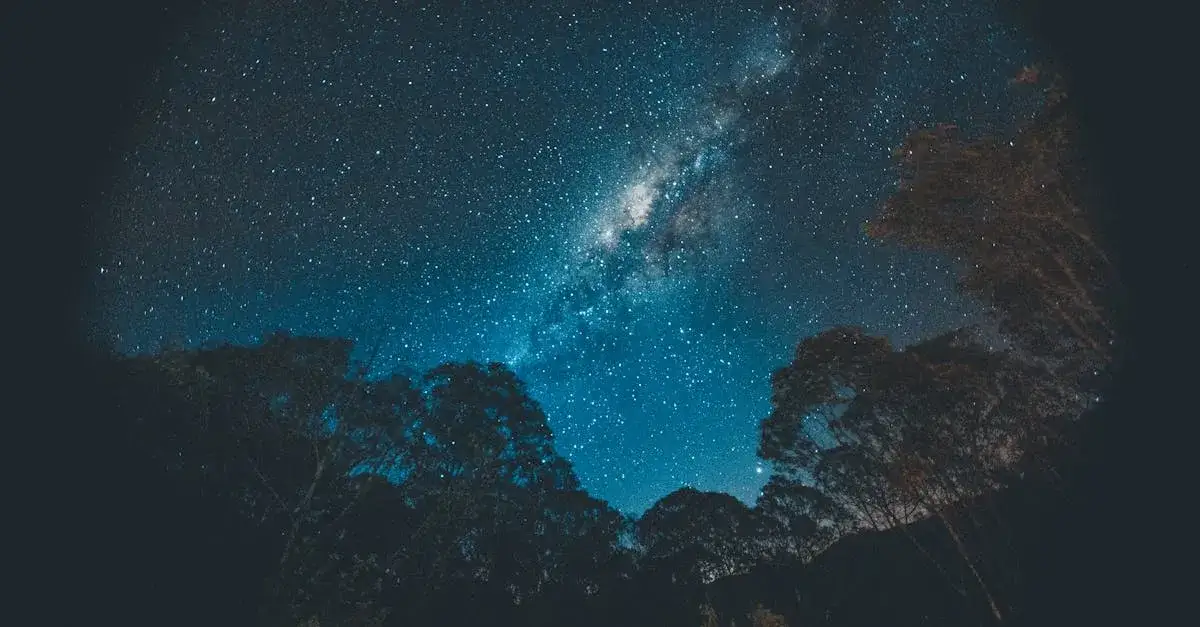 Dlaczego ogród świateł w Poznaniu oczaruje Twoją rodzinę? Magia!