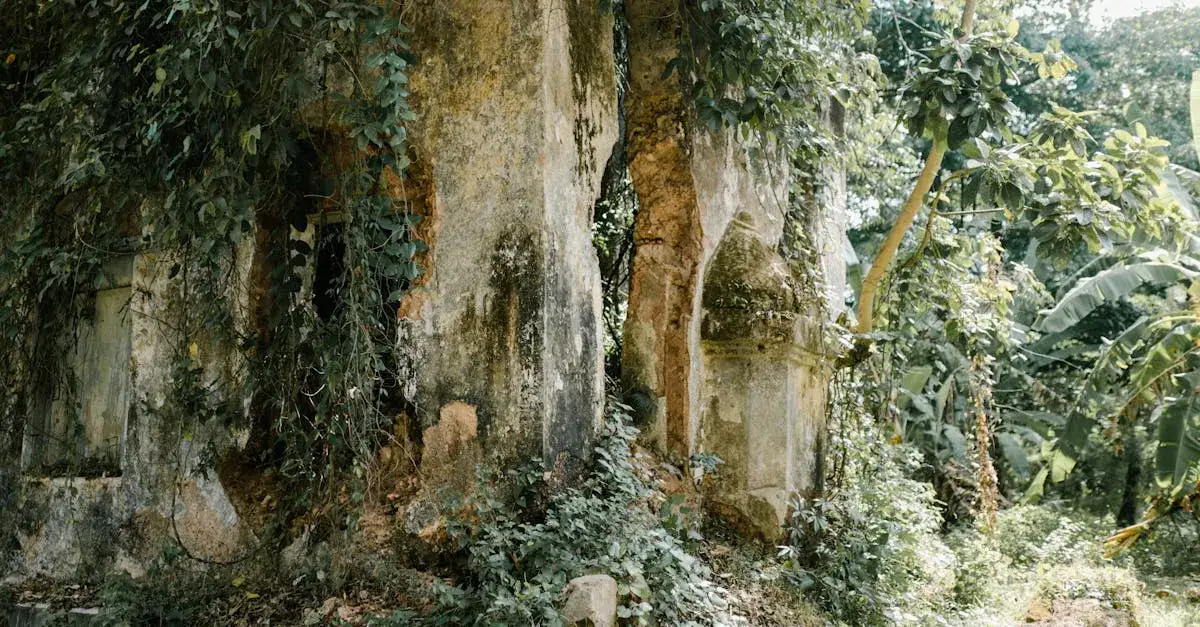 Czy Ród smoka inspiruje do eko-życia? 5 zaskakujących faktów