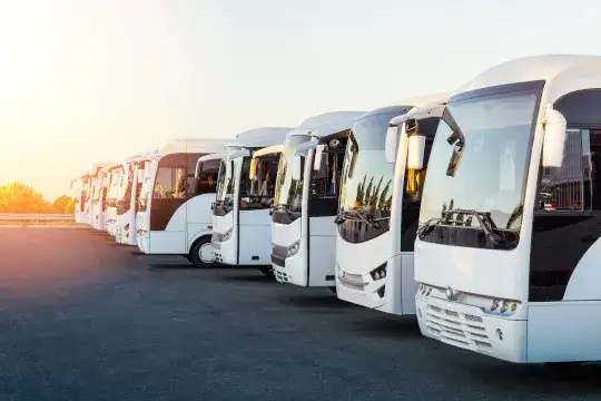 Na co zwrócić uwagę wynajmując busa na wesele?