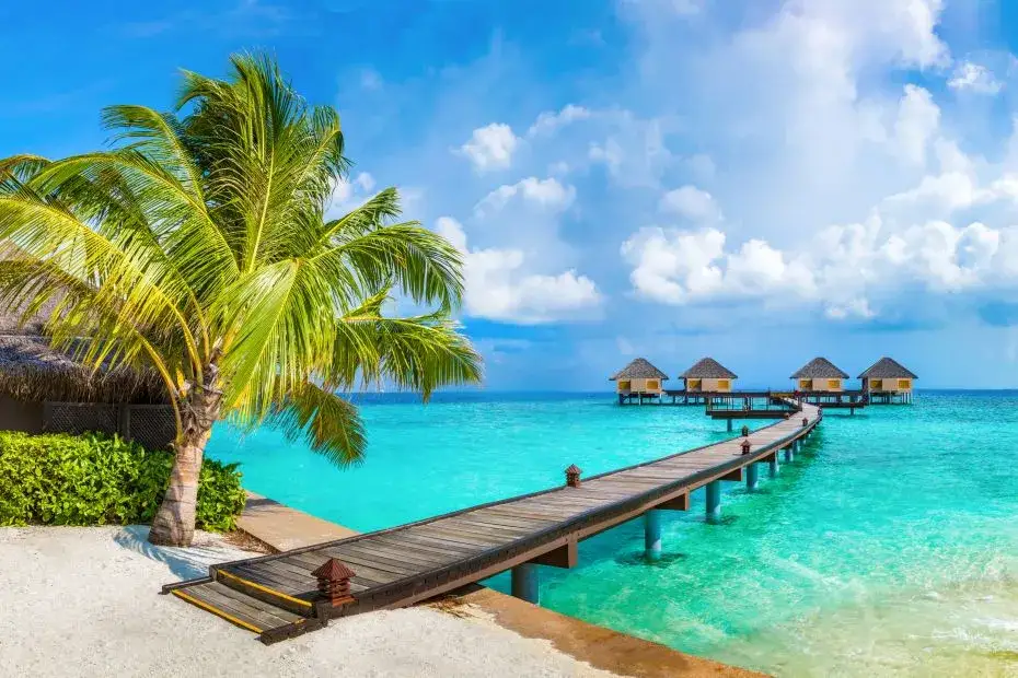 Gdzie na wakacje w marcu? Najlepsze kierunki na słoneczny urlop