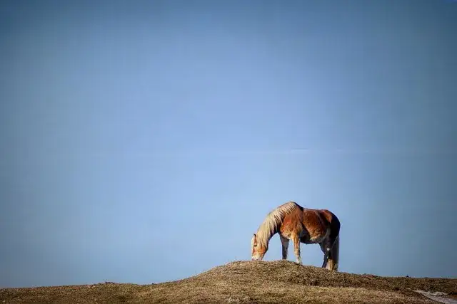 Gdzie wlać płyn do sprzęgła? Sprawdź, aby uniknąć problemów z autem