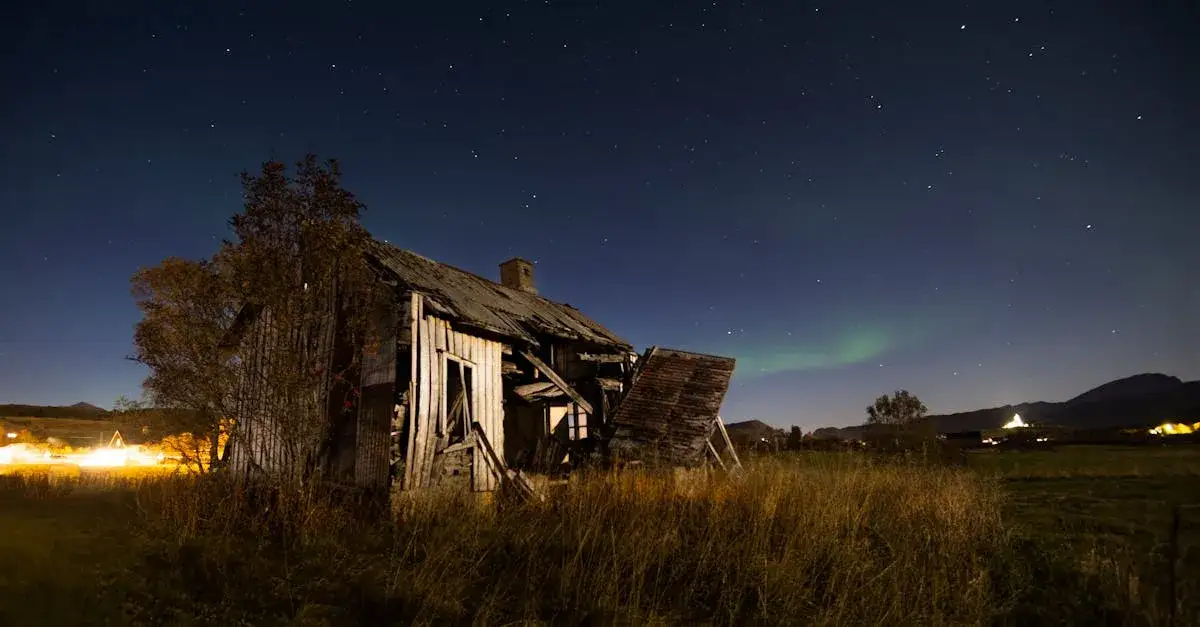 Wiejskie kino: jak filmy kształtują obraz polskiej wsi?