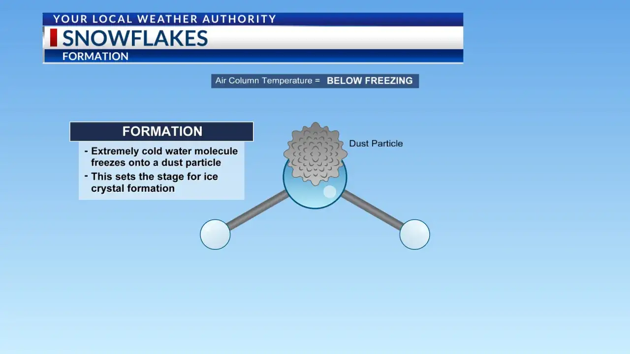Flocon de neige Comprendre sa formation et son rôle climatique — free download