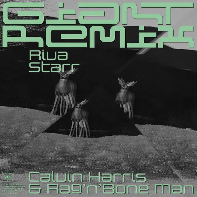 Giant (with Rag'n'Bone Man) [Riva Starr Tribe Vibe Remix] • Cały album • Wszystkie utwory • Wykonawca