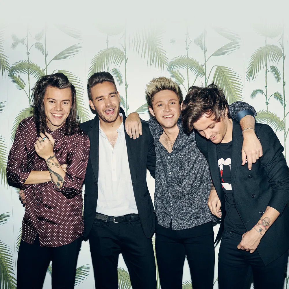 One Direction • Albumy • Piosenki • Życiorys