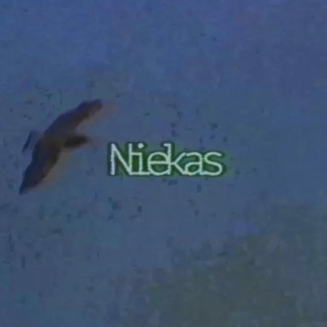 Niekas • Cały album • Wszystkie utwory • Wykonawca