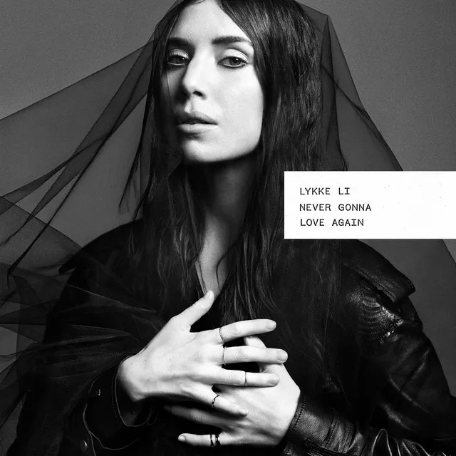 Never Gonna Love Again (re edit) • Cały album • Wszystkie utwory • Wykonawca