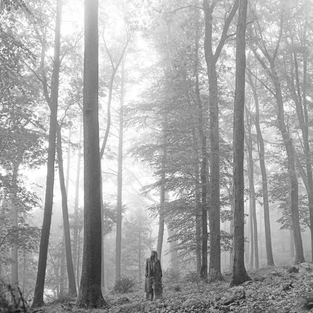 folklore (deluxe version) • Cały album • Wszystkie utwory • Wykonawca