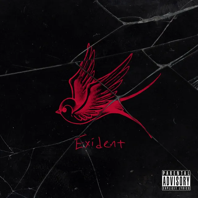 Exident • Cały album • Wszystkie utwory • Wykonawca