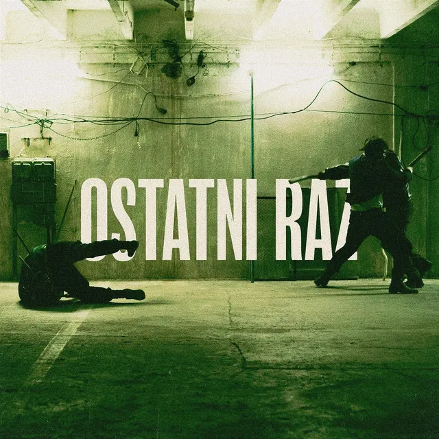 Ostatni Raz • Cały album • Wszystkie utwory • Wykonawca