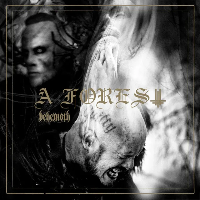 A Forest • Cały album • Wszystkie utwory • Wykonawca