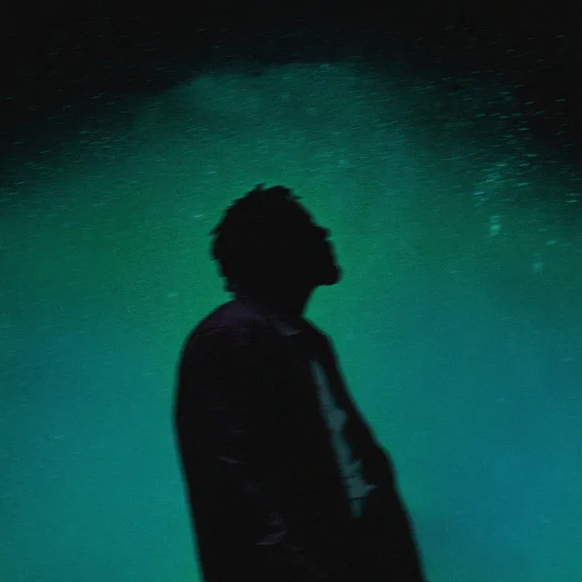 Stargazing (Live from Manchester) • Cały album • Wszystkie utwory • Wykonawca