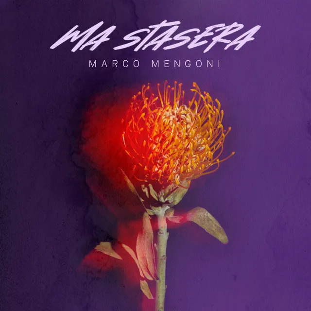 Ma stasera • Cały album • Wszystkie utwory • Wykonawca