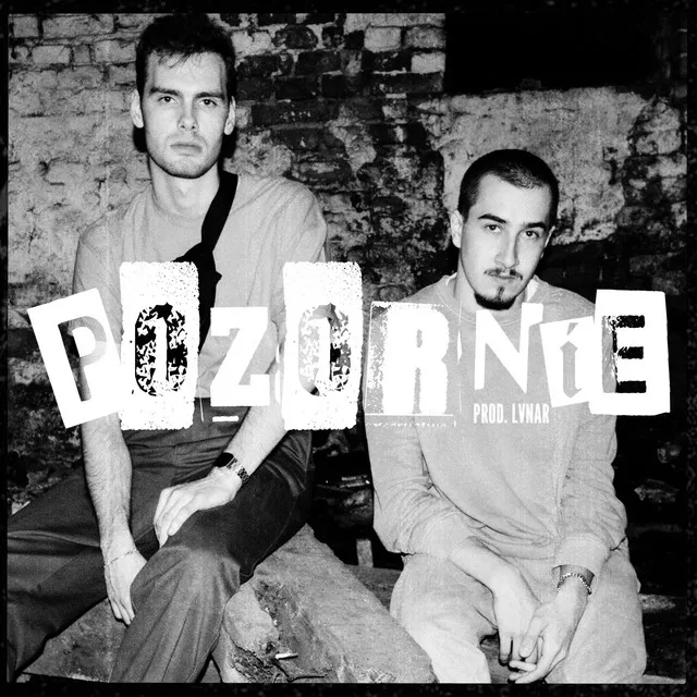Pozornie • Cały album • Wszystkie utwory • Wykonawca