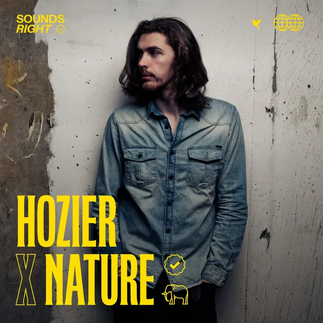 Like Real People Do (feat. NATURE) • Cały album • Wszystkie utwory • Wykonawca
