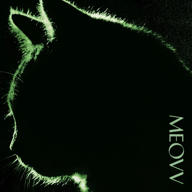 TOXIC • Cały album • Wszystkie utwory • Wykonawca