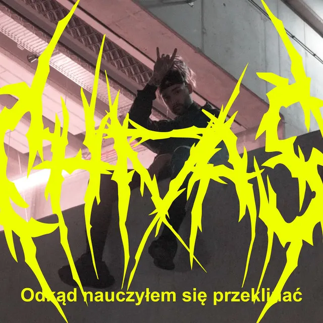Odkąd nauczyłem się (przeklinać) • Cały album • Wszystkie utwory • Wykonawca