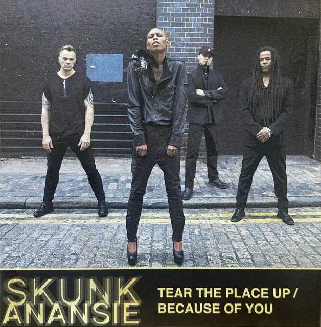 Tear The Place Up/ Because Of You • Cały album • Wszystkie utwory • Wykonawca